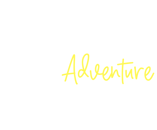Discover Your Next Adventure