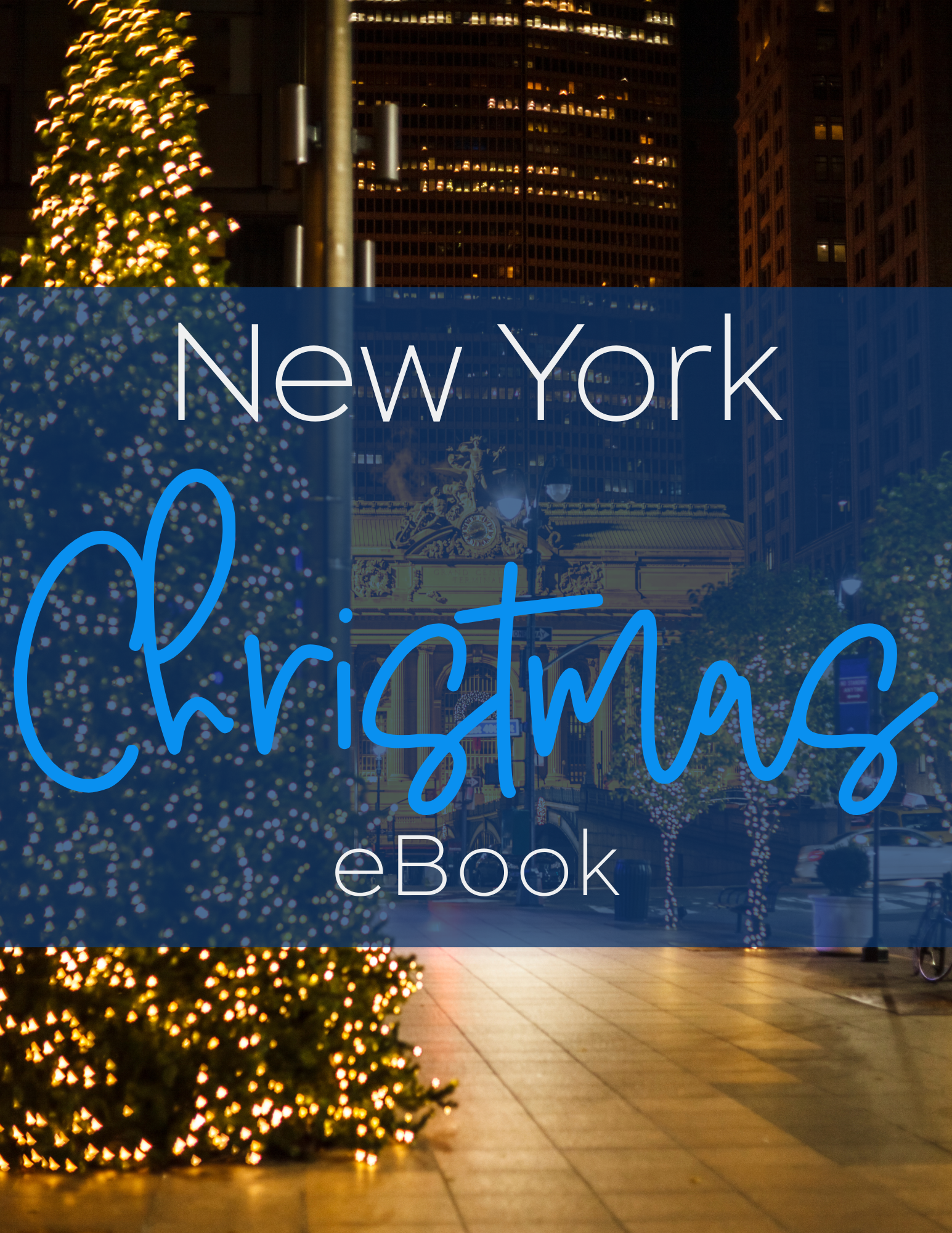 New Yor Christmas eBook